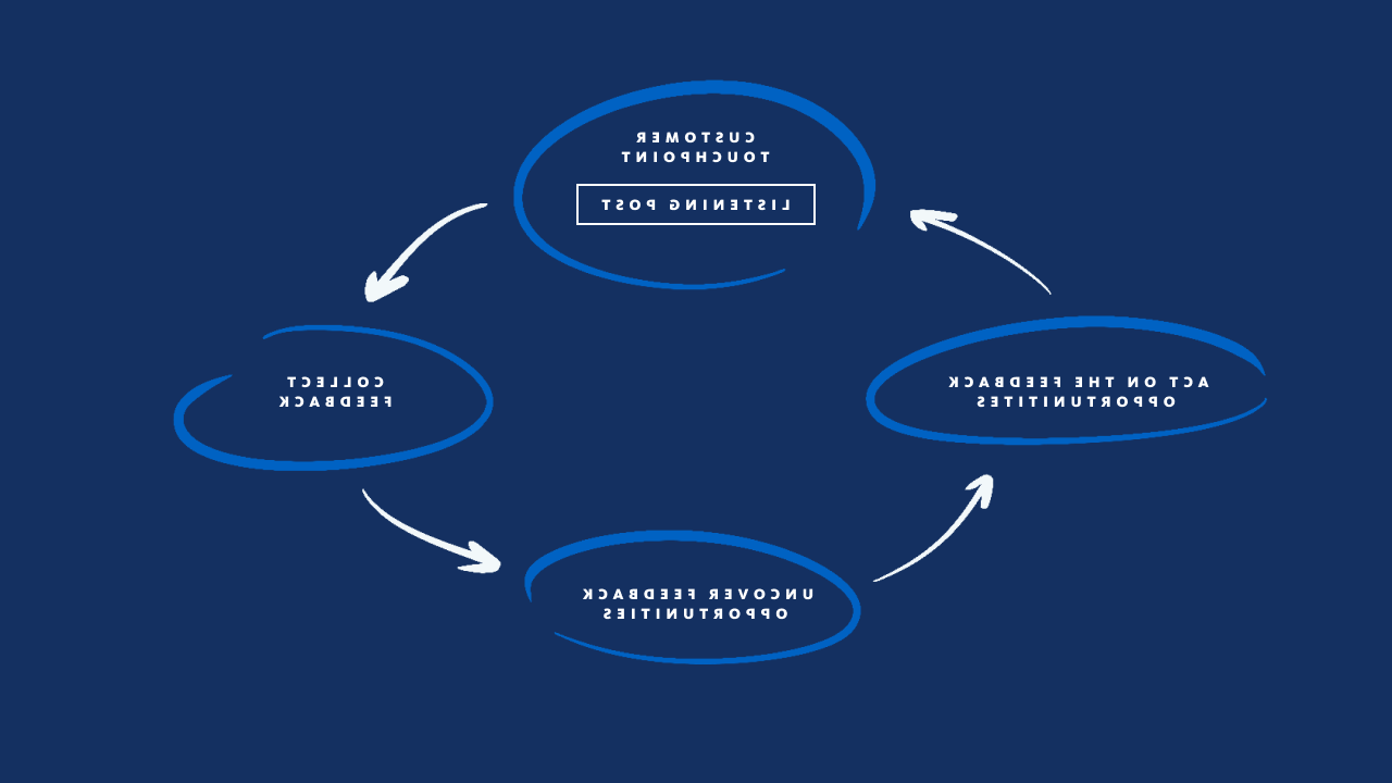 Example of a customer feedback loop and product improvement plan